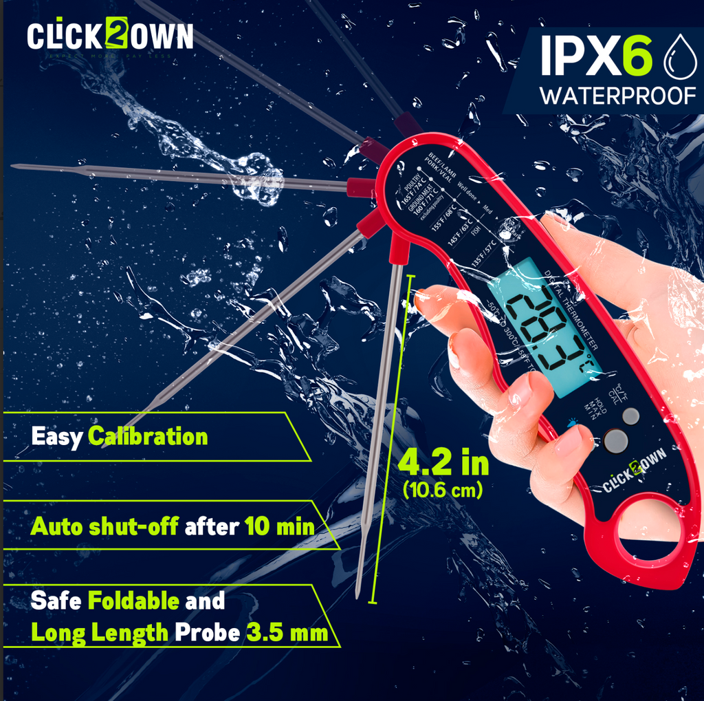 What kind of thermometer is best?